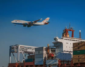 Professional & Qualified